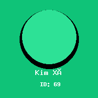 Kim Xà